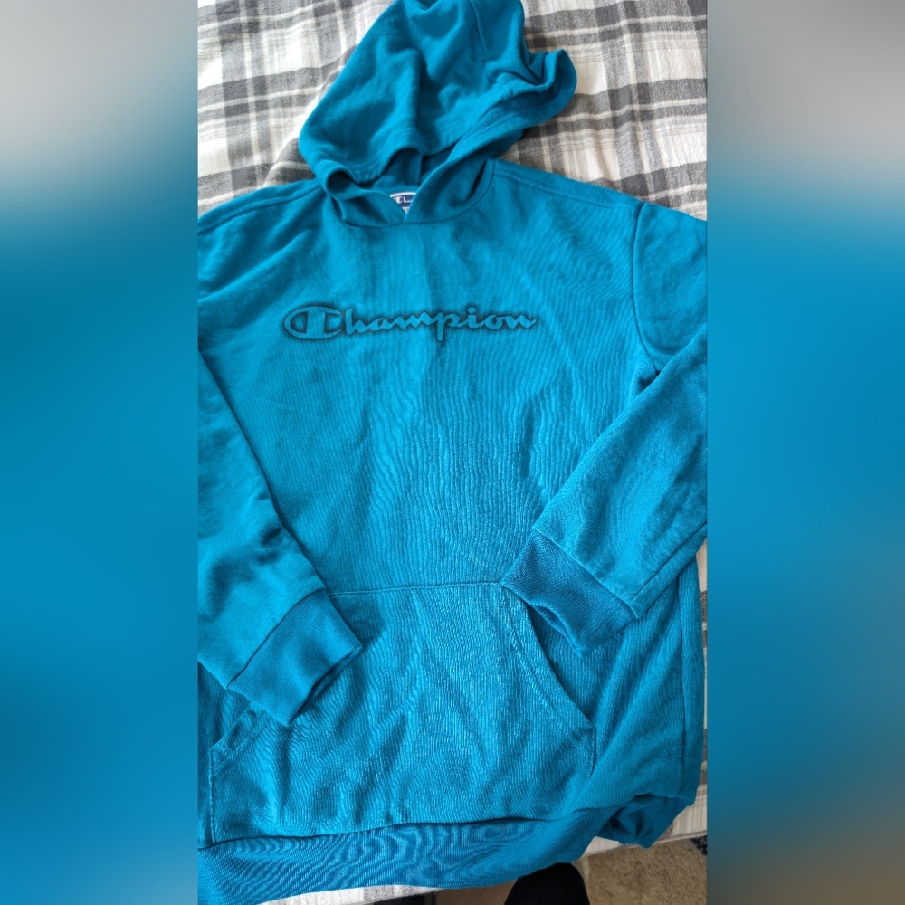Champion Sweater